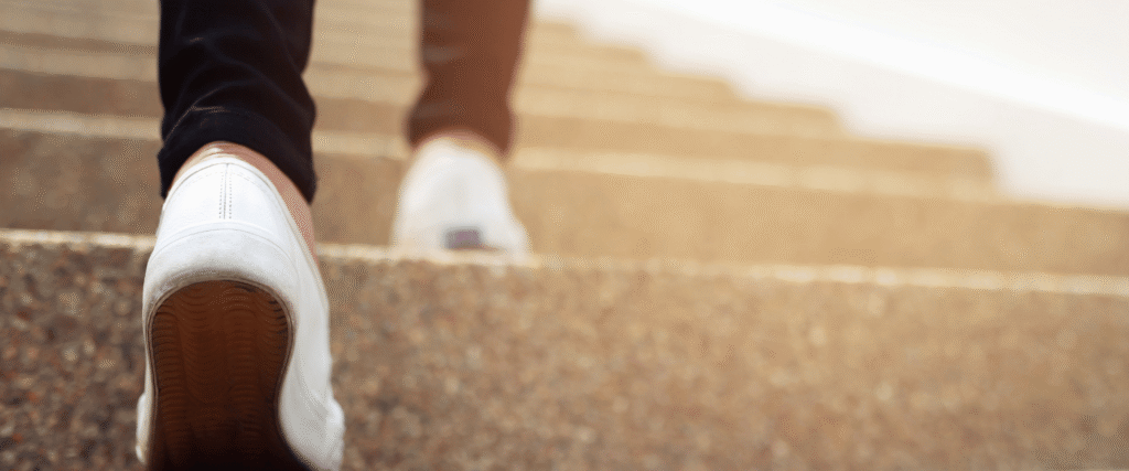 bursa ortopedik terlik